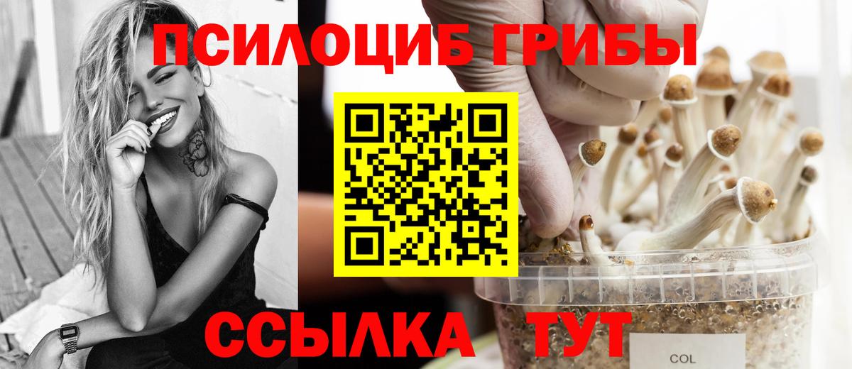 Галлюциногенные грибы MAGIC MUSHROOMS Белореченск